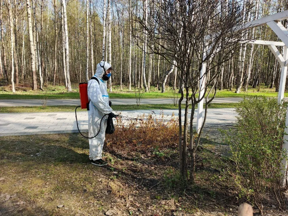 Фото: администрация г. о. Электросталь