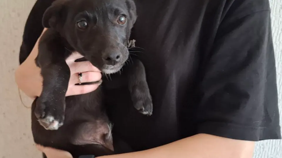 Фото: REGIONS/Юлия Габбасова