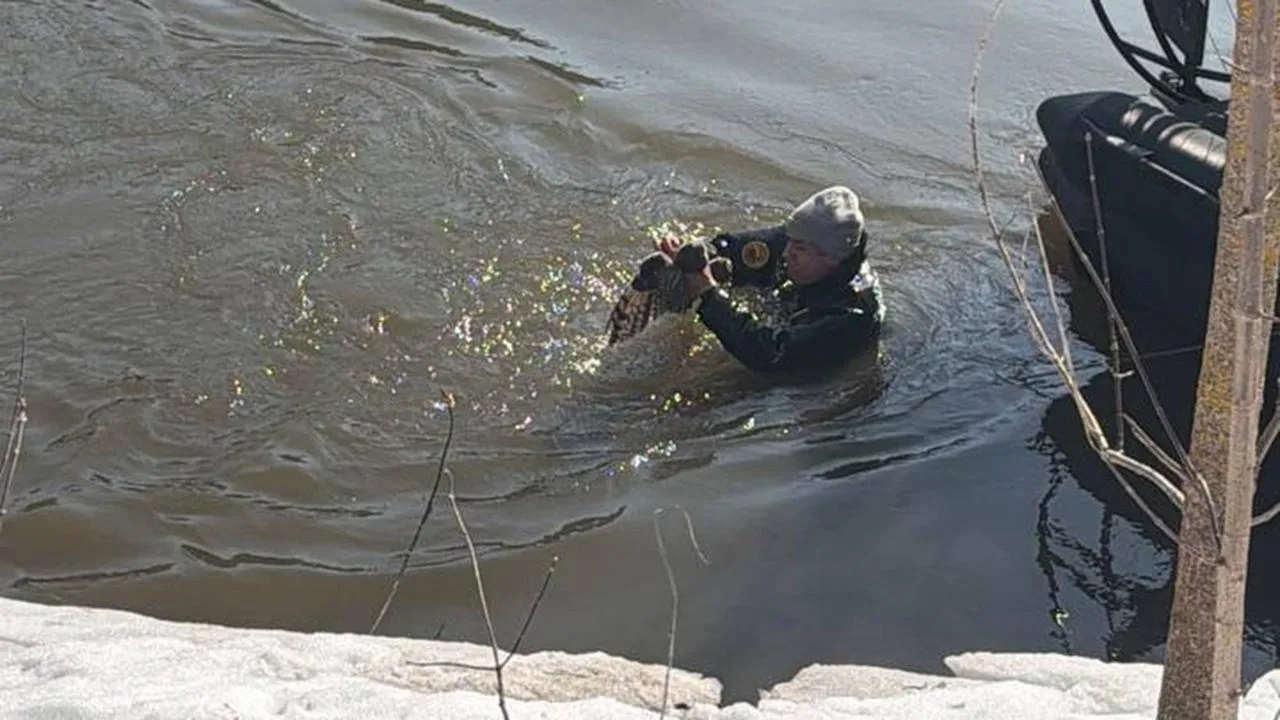 АНО Водолазная группа «ДобротворецЪ»
