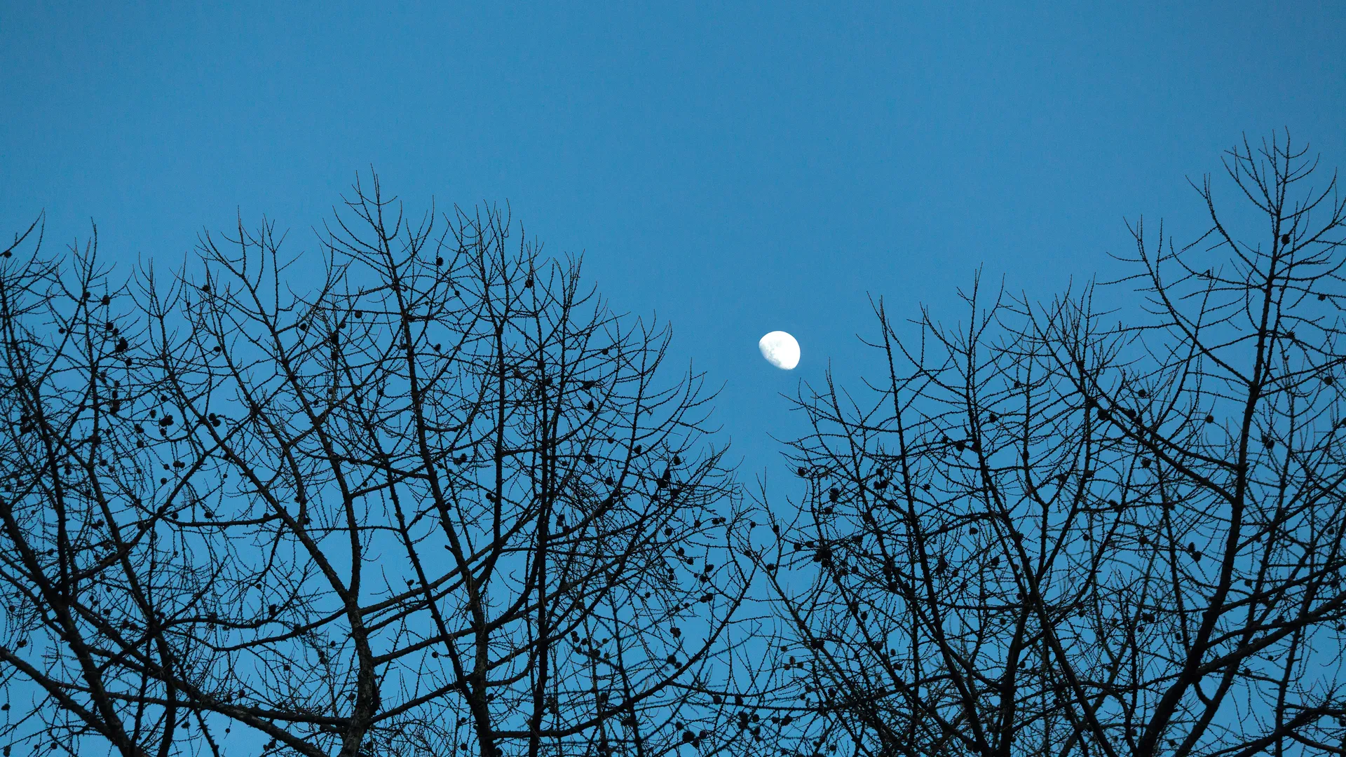 Луна на небе в городе Дзержинский
