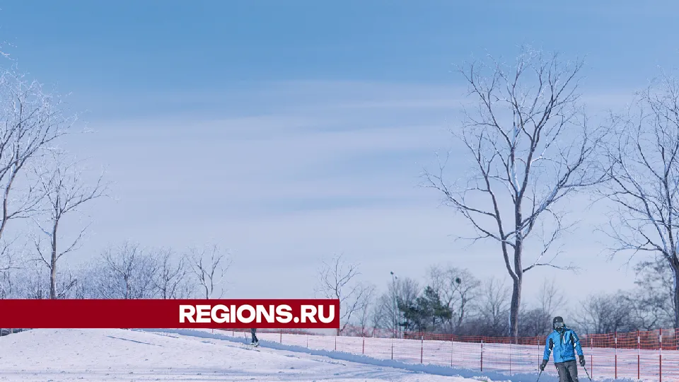 Фото: проектное решение