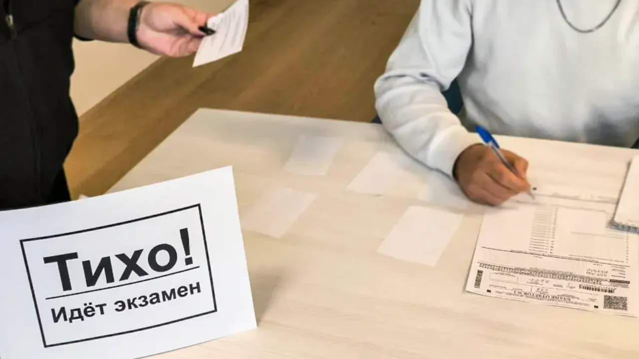 REGIONS/Дарина Левкина