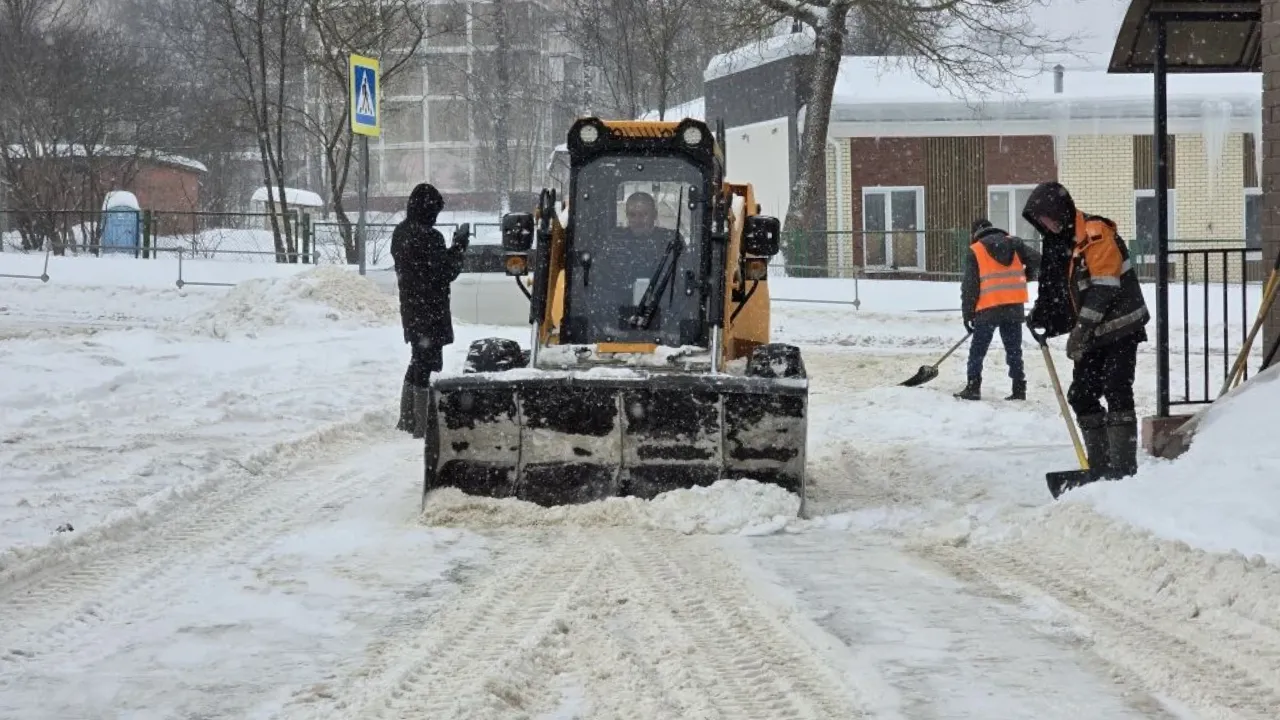 REGIONS/Яна Шаливская