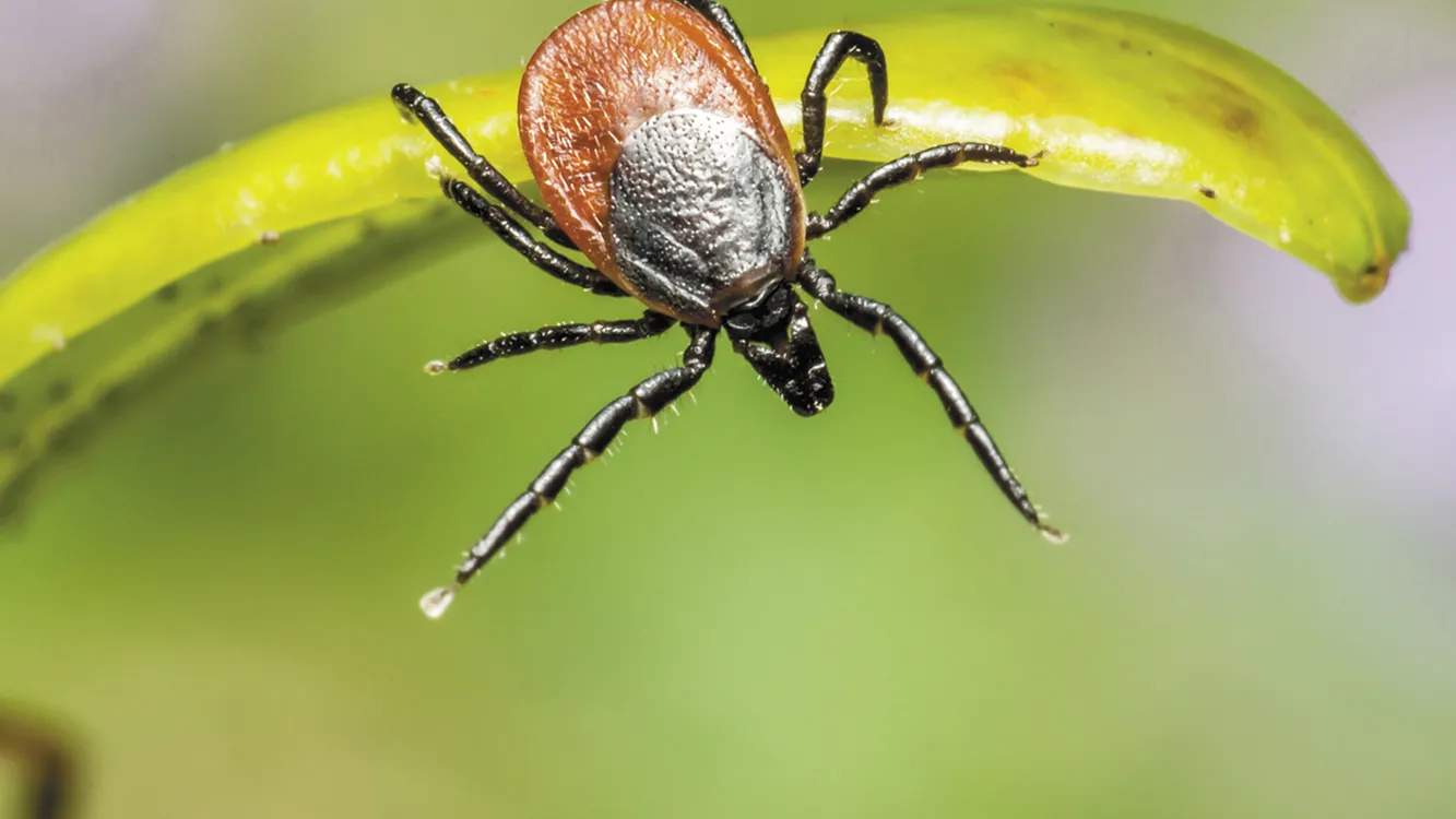 Фото: ru.freepik.com