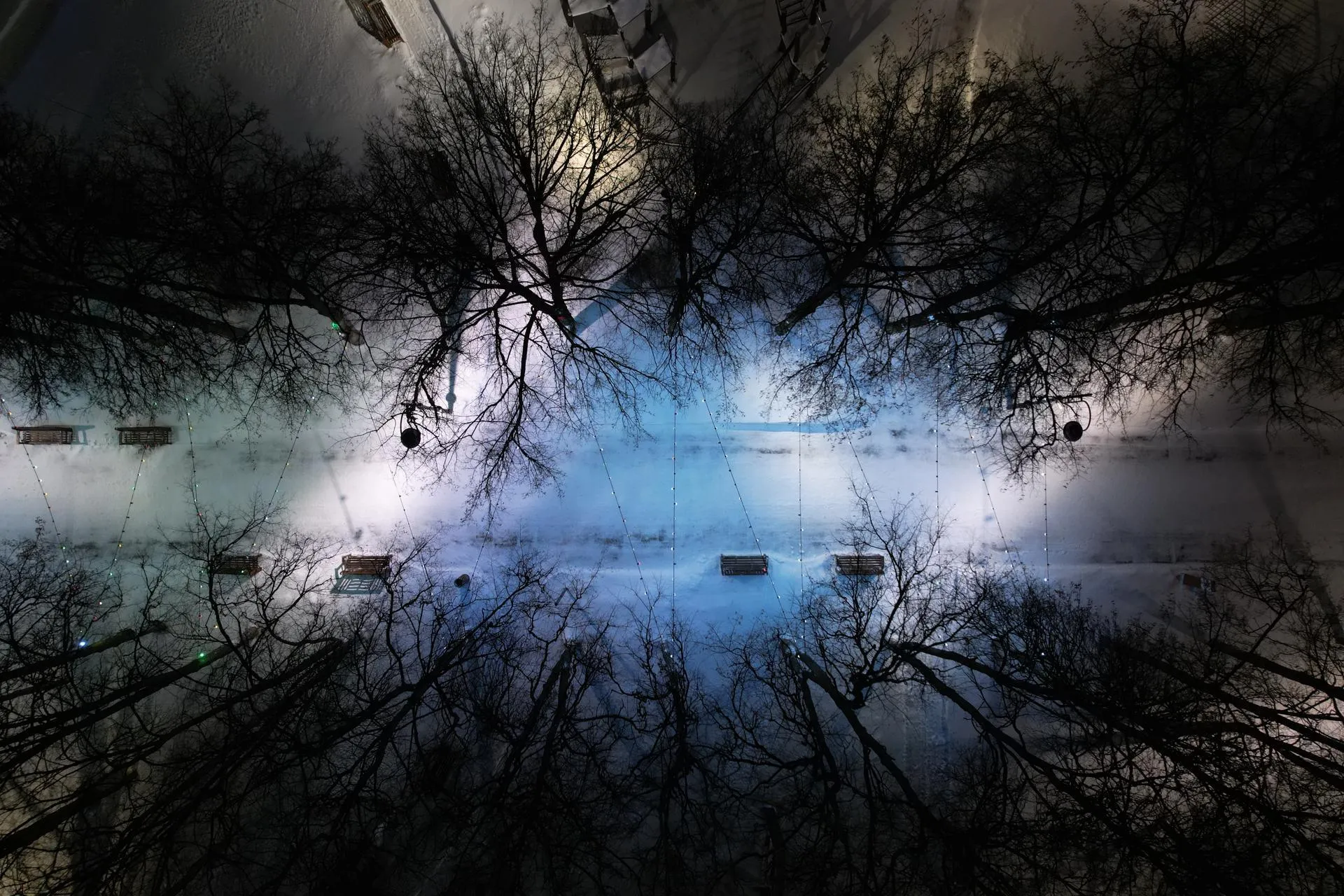 Фото: Ксения Борцова