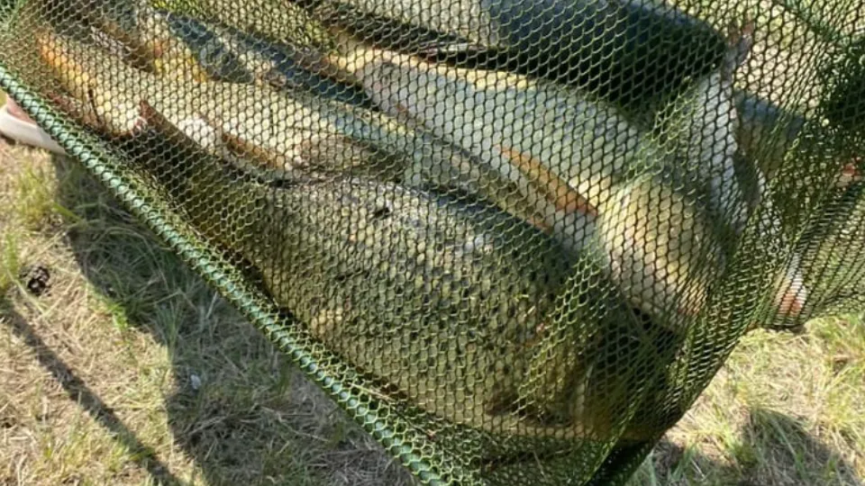 Фото: Алексей Казьмин