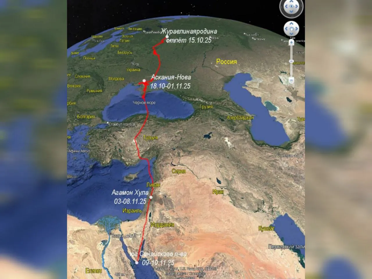 Фото: личный архив Ольги Гринченко