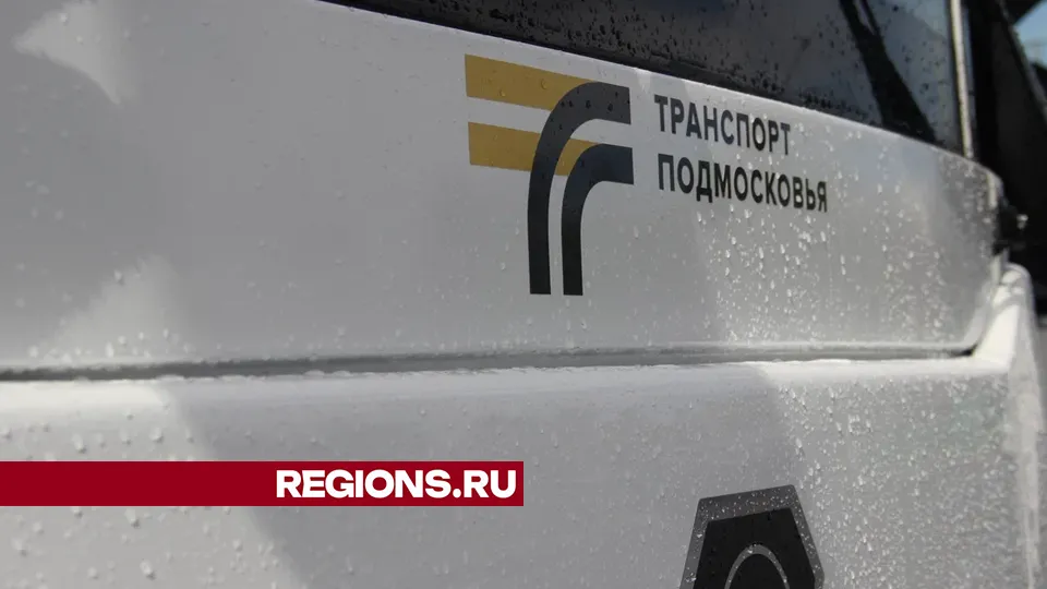 Фото: REGIONS/Василий Тремасов