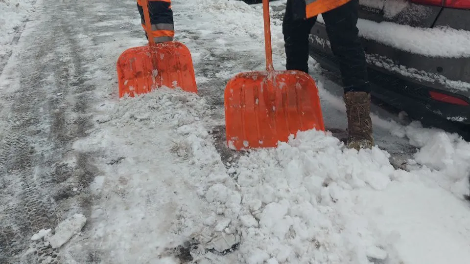 Фото: администрация г.о. Реутов