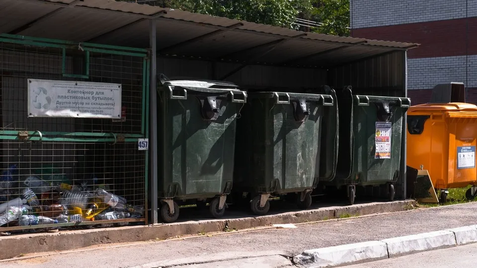 Фото: медиасток.рф