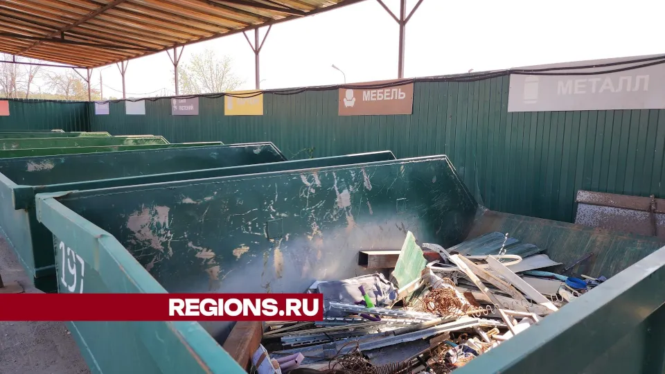 Фото: REGIONS/Александр Степушкин