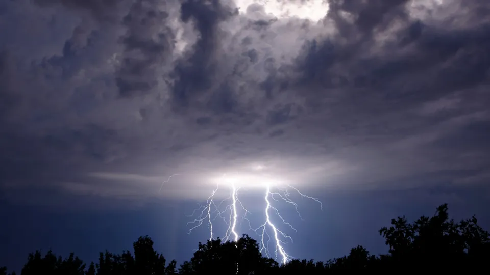 Фото: unsplash.com