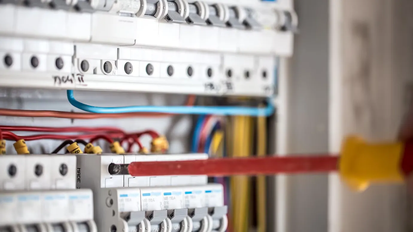 Фото: freepik.com