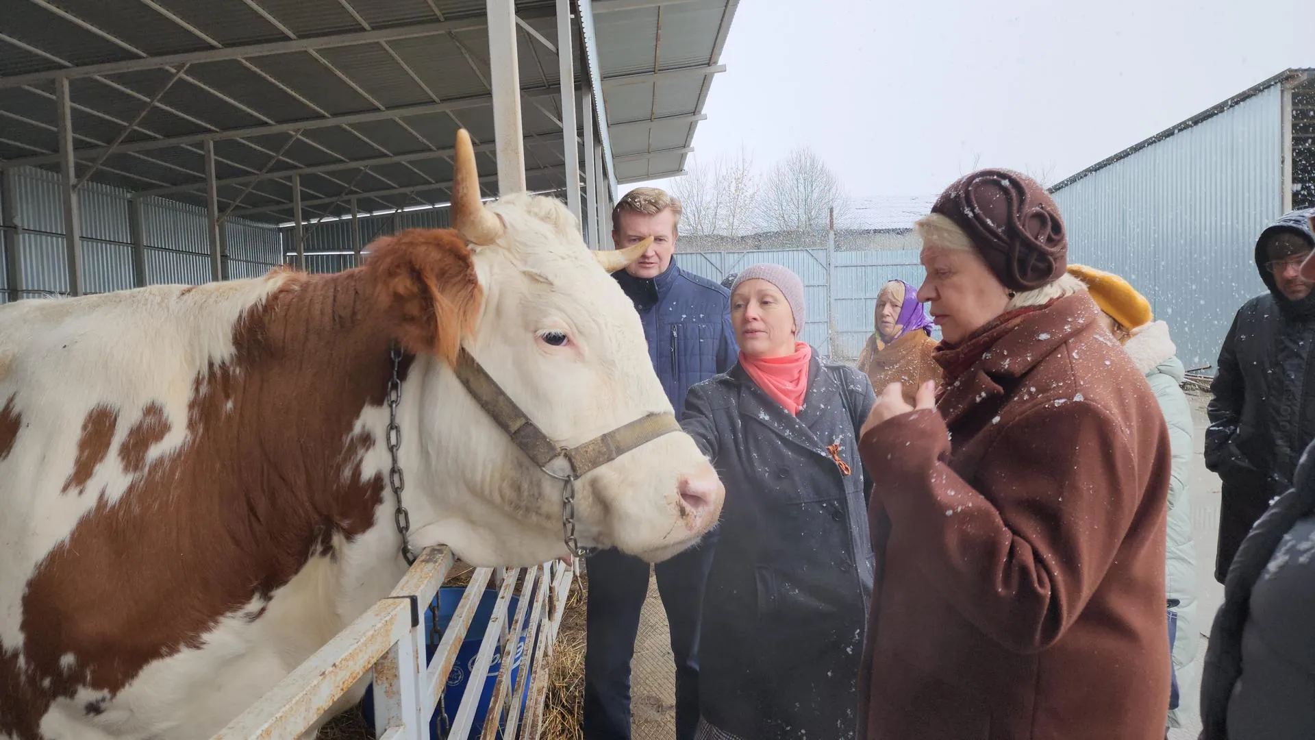 Автор фото Мария Андрюхина