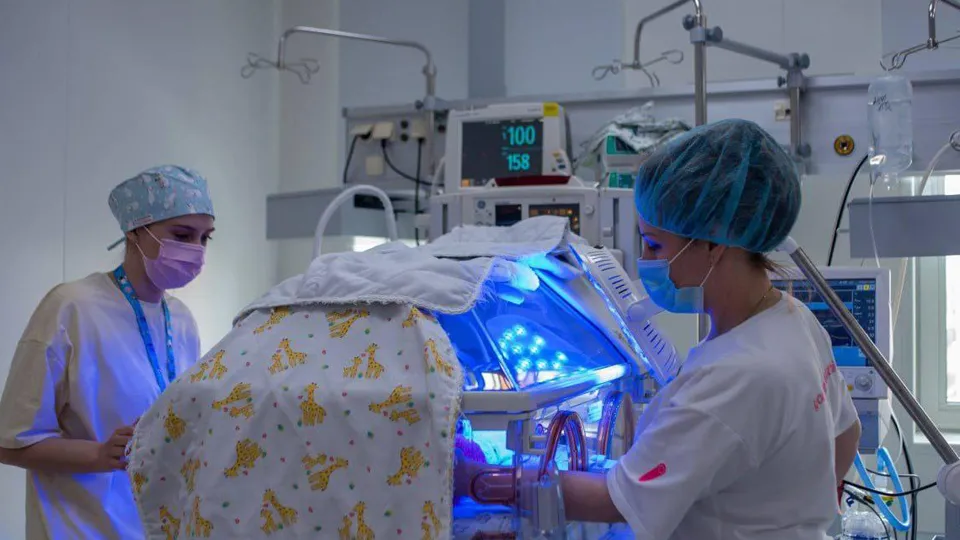 Фото: пресс-служба администрации г.о. Щелково