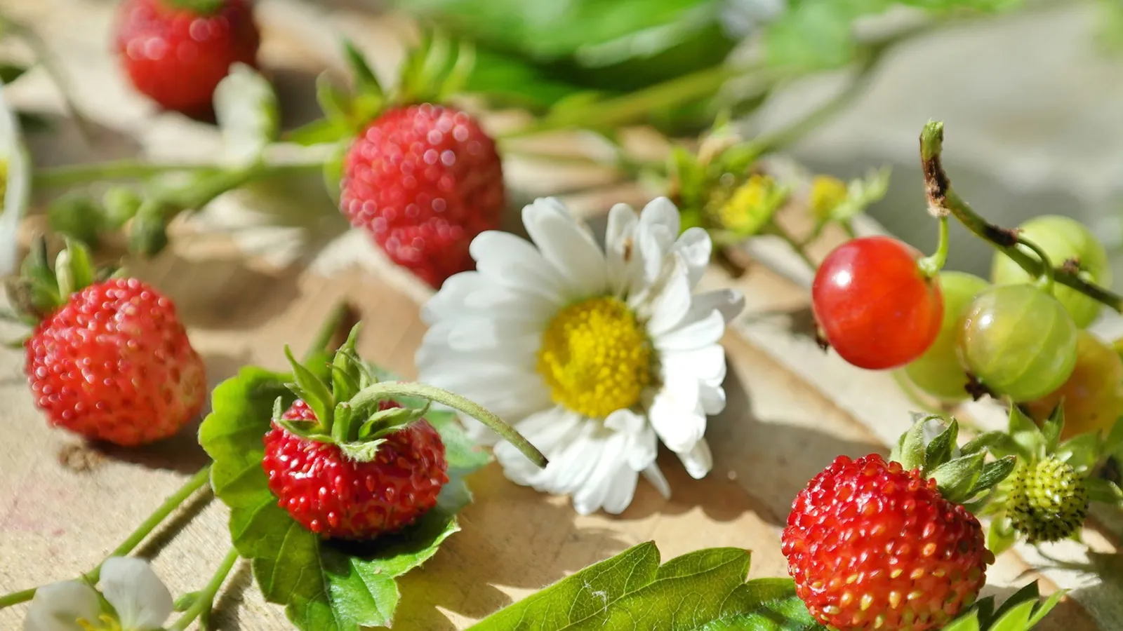 Фото: pxhere.com