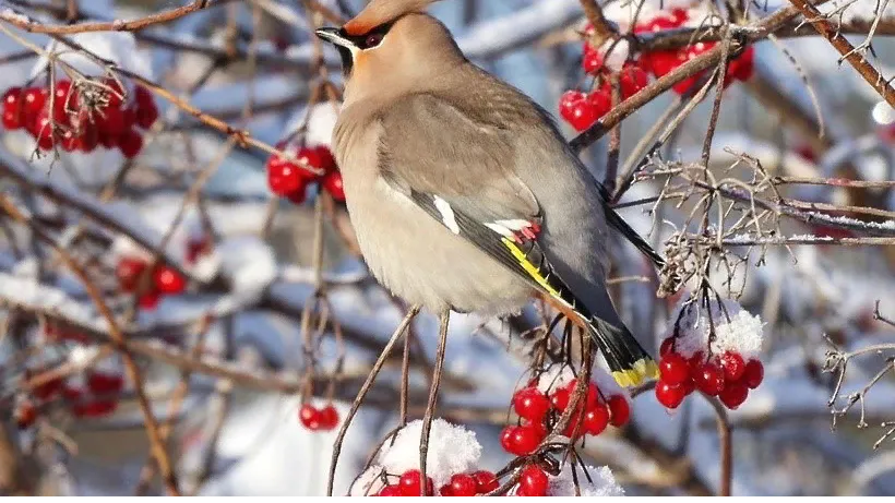 Фото: Минэкологии МО