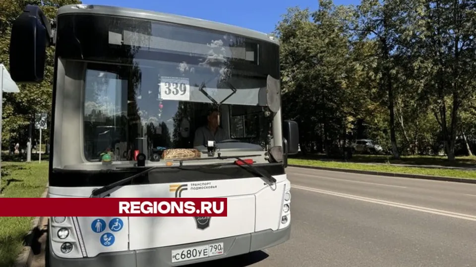 Фото: Мария Шматкова