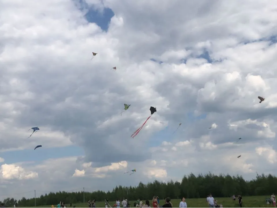 Фото: пресс-служба администрации г.о. Красногорск