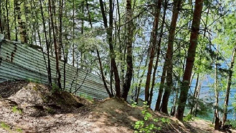 Фото: Министерство экологии и природопользования Московской области