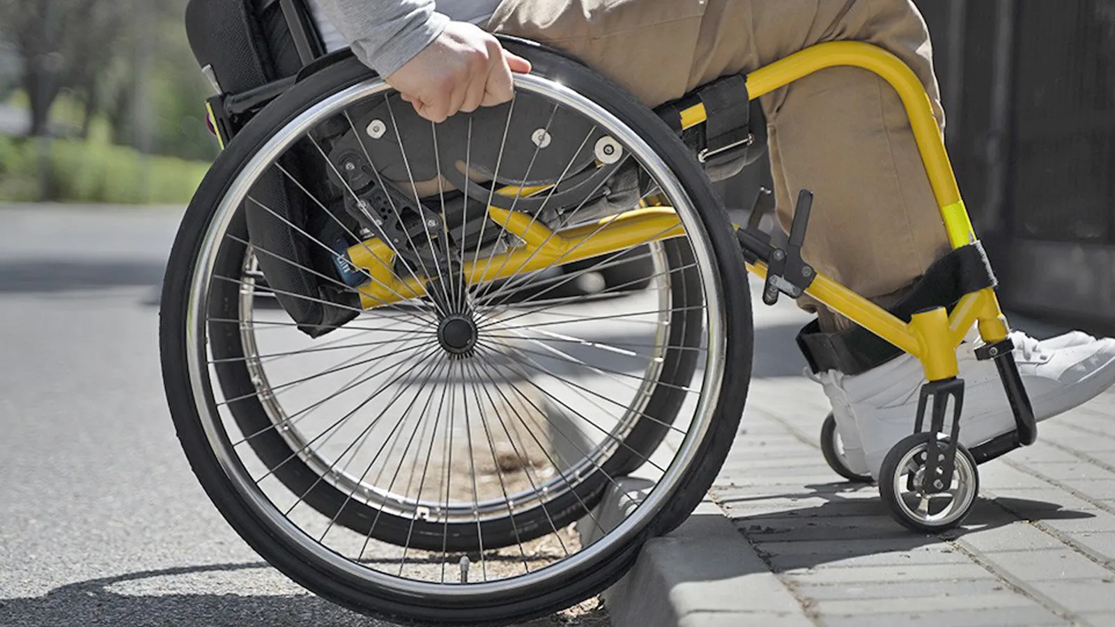 Фото: freepik.com