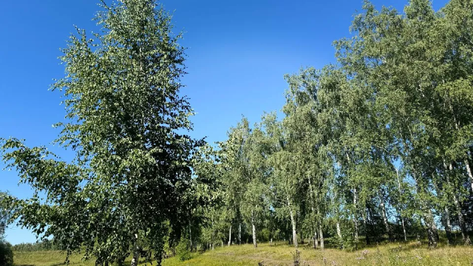 Фото: pxhere.com