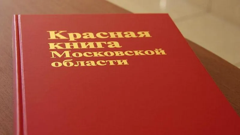 Министерство экологии и природопользования МО