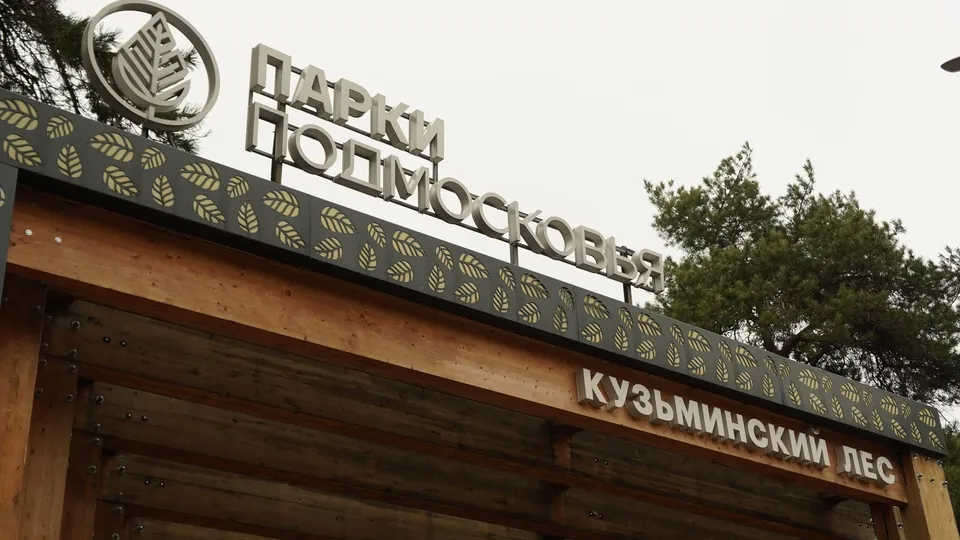 Фото: Дарья Антифьева