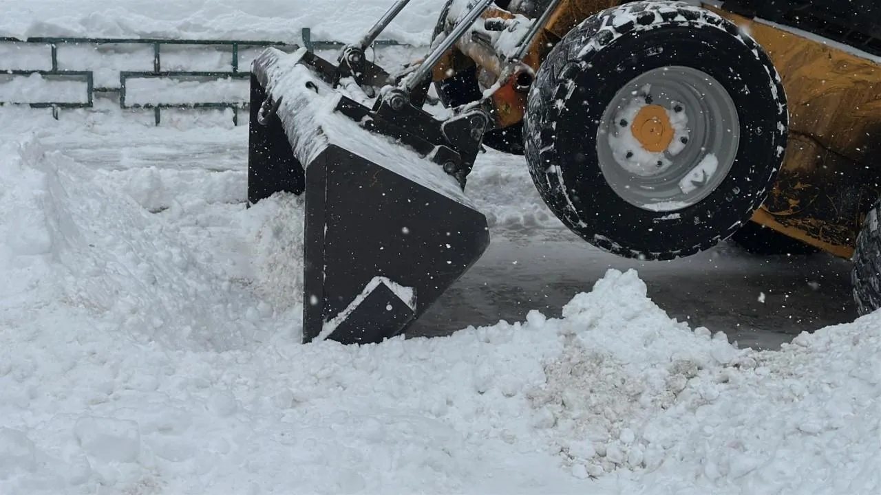 REGIONS/Кристина Тришина