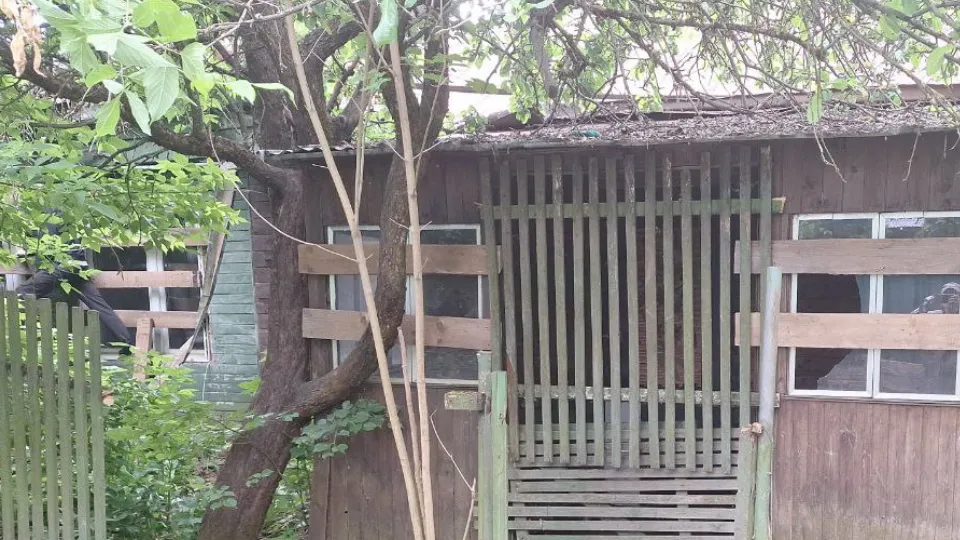 Фото: администрация Одинцовского городского округа