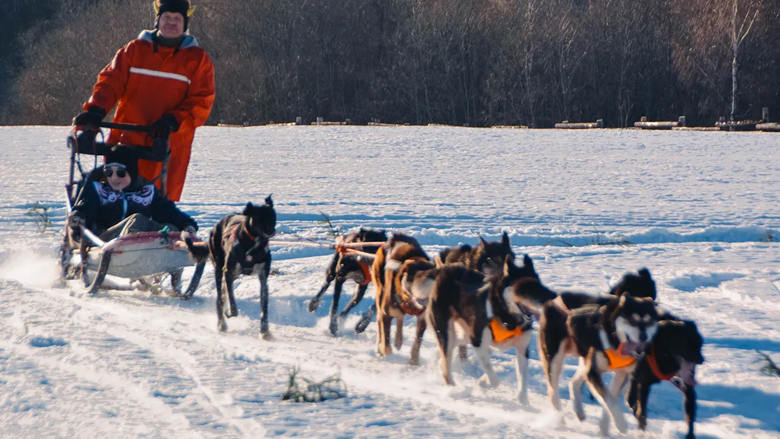 Фото: vk.com/Этнопарк «Кочевник» | Верблюжья ферма
