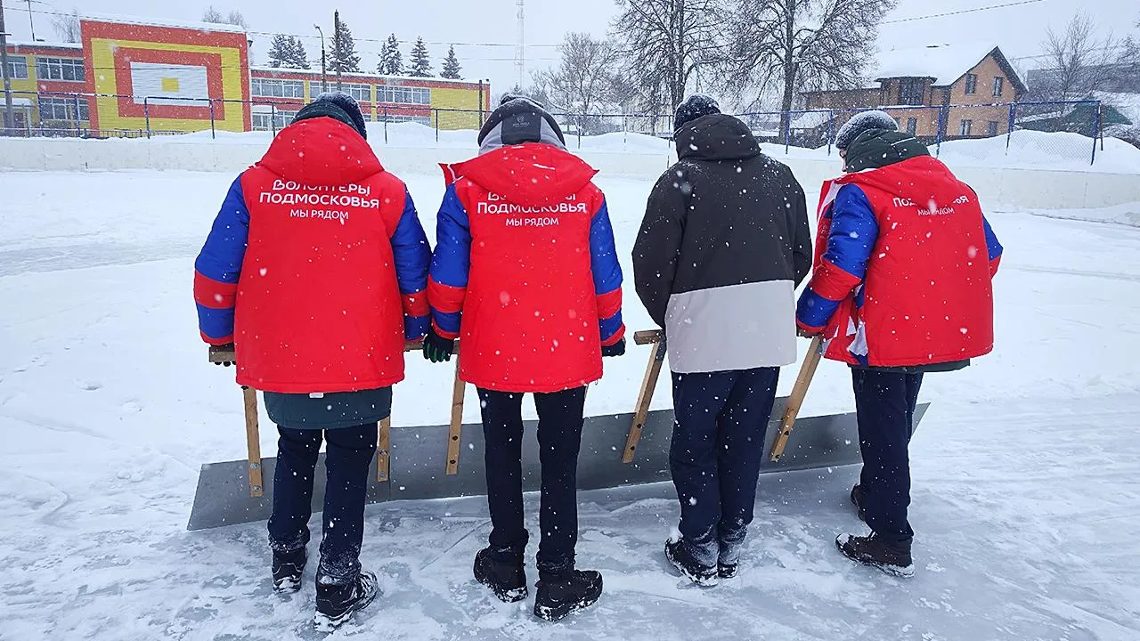 «Волонтеры Подмосковья»