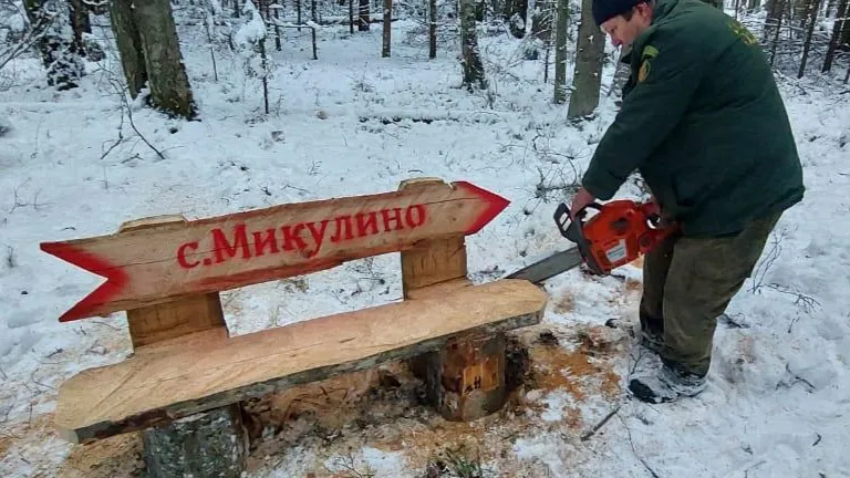 Фото: Комитет лесного хозяйства Московской области