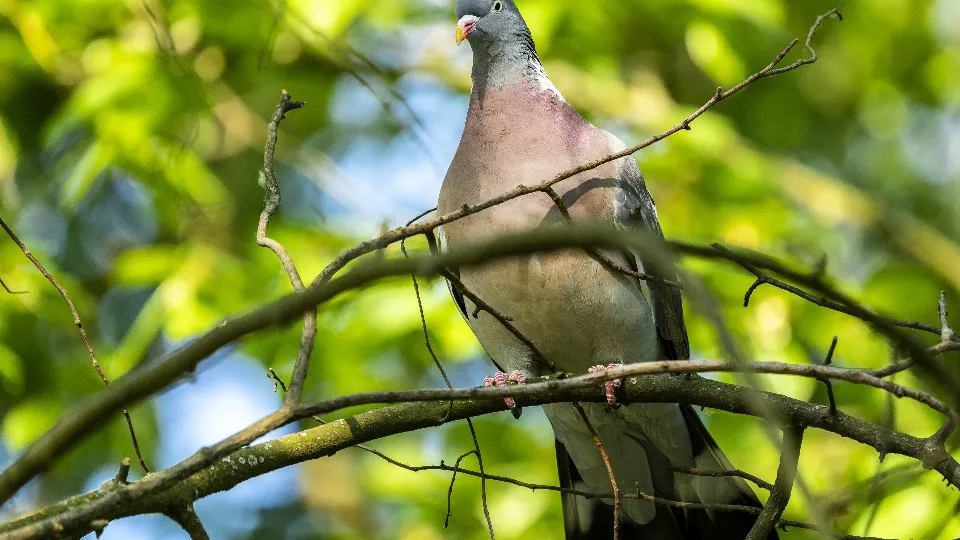 Фото: freepik.com