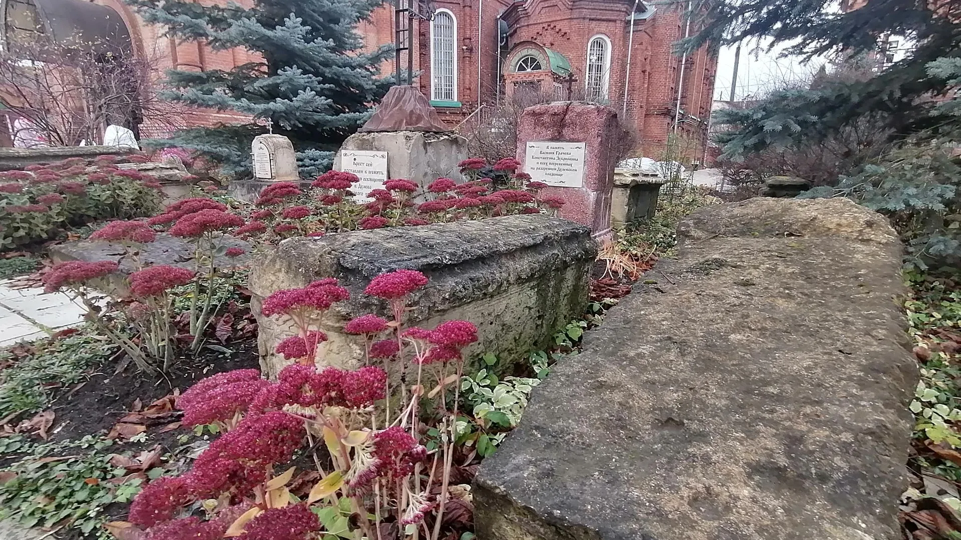 Ольга Сычёва