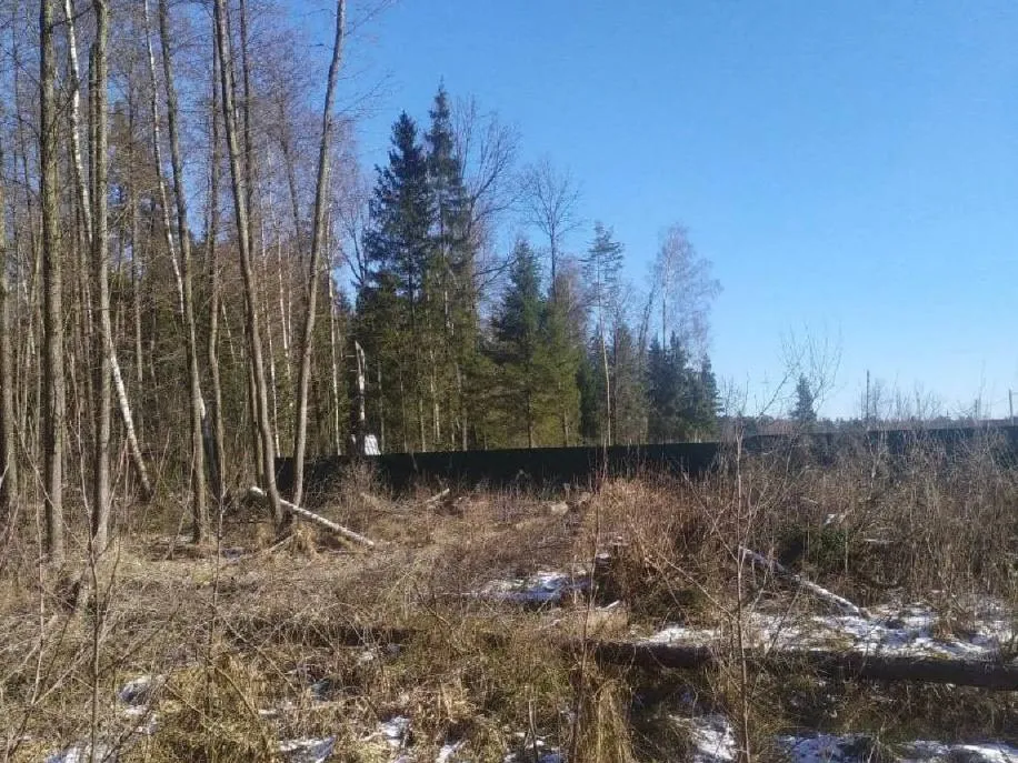 Фото: администрация городского округа Лосино-Петровский