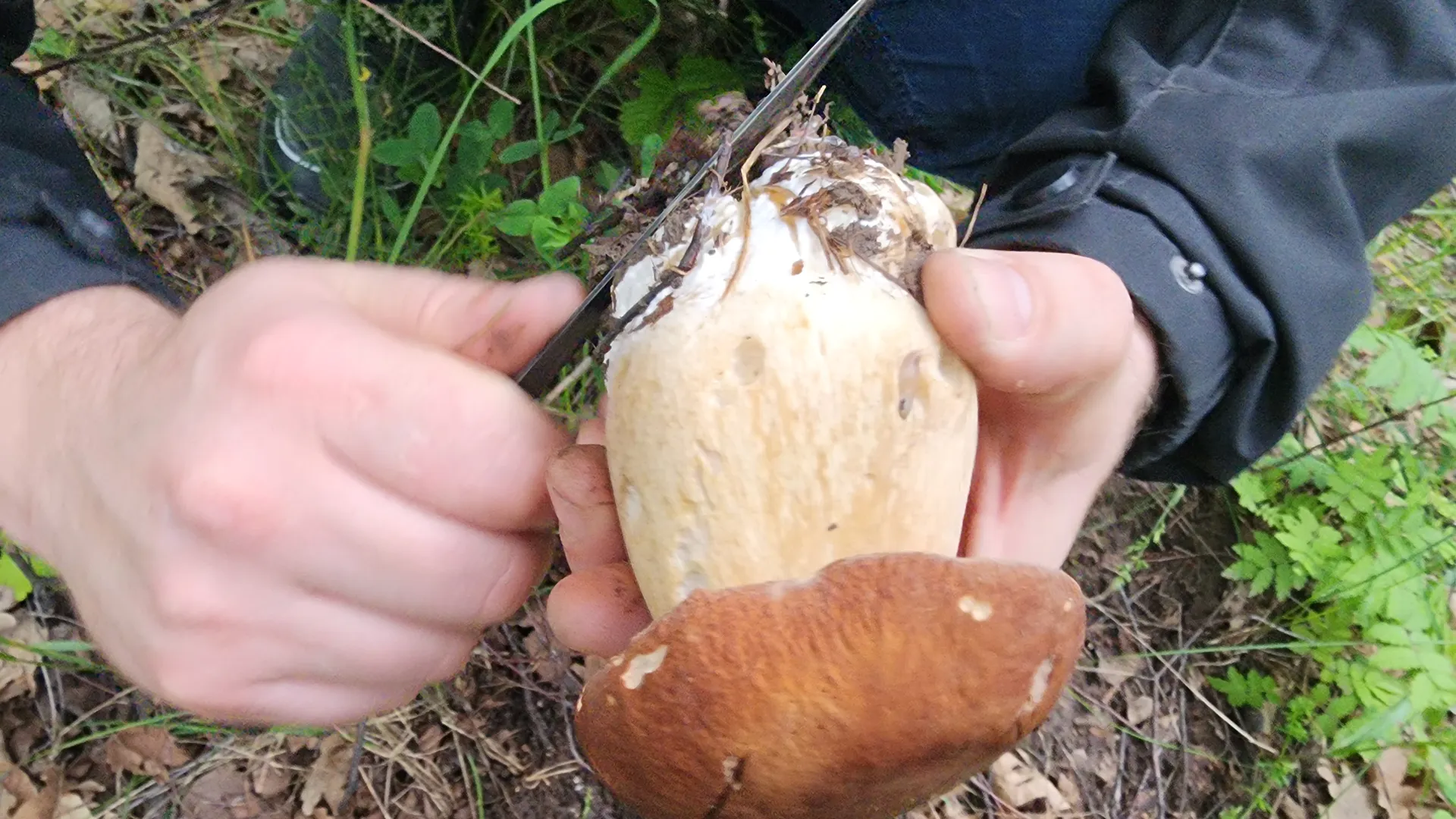 Фото: МедиаБанк Подмосковья/Мария Панина