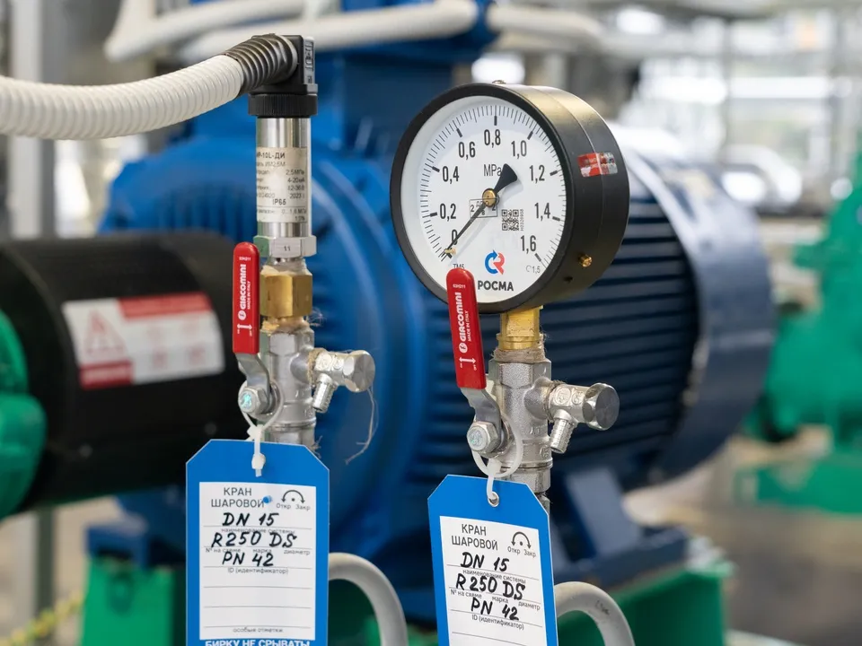 &nbsp; Фото: медиасток.рф