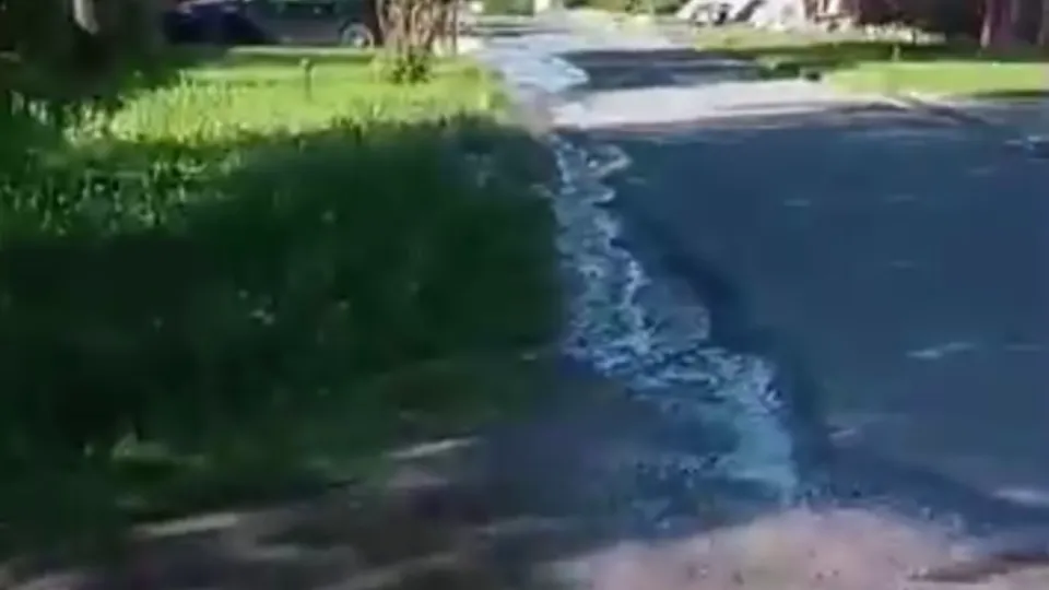 Фото: соцсети