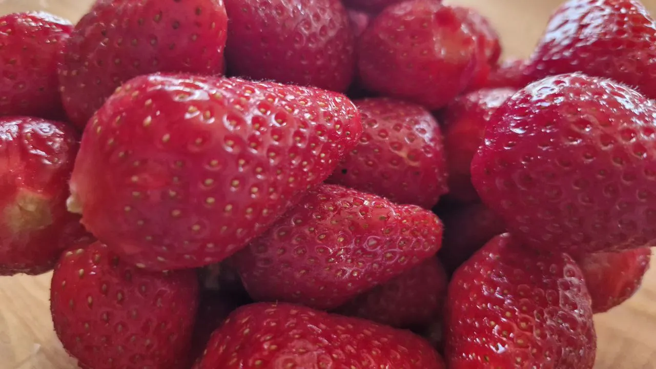 Фото: REGIONS/Наталия Надточая