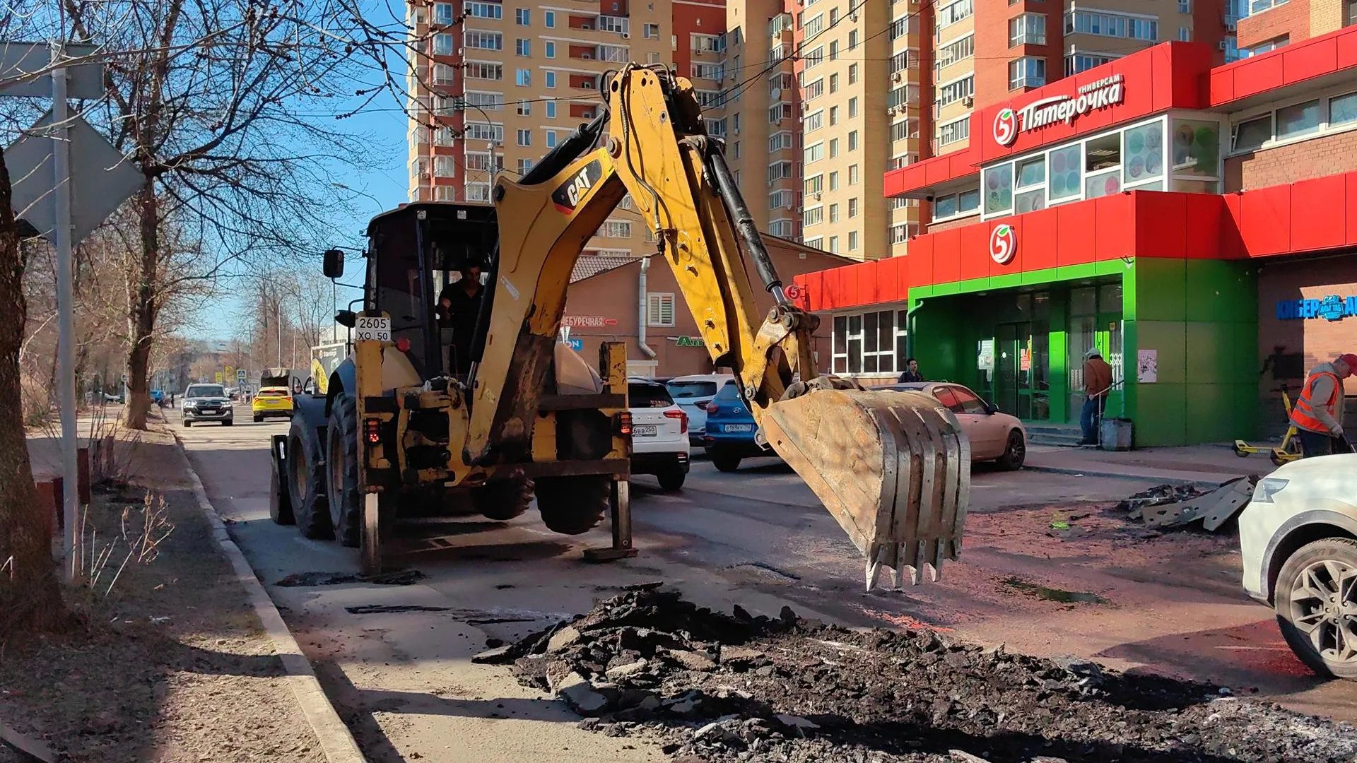 Елена Катасонова