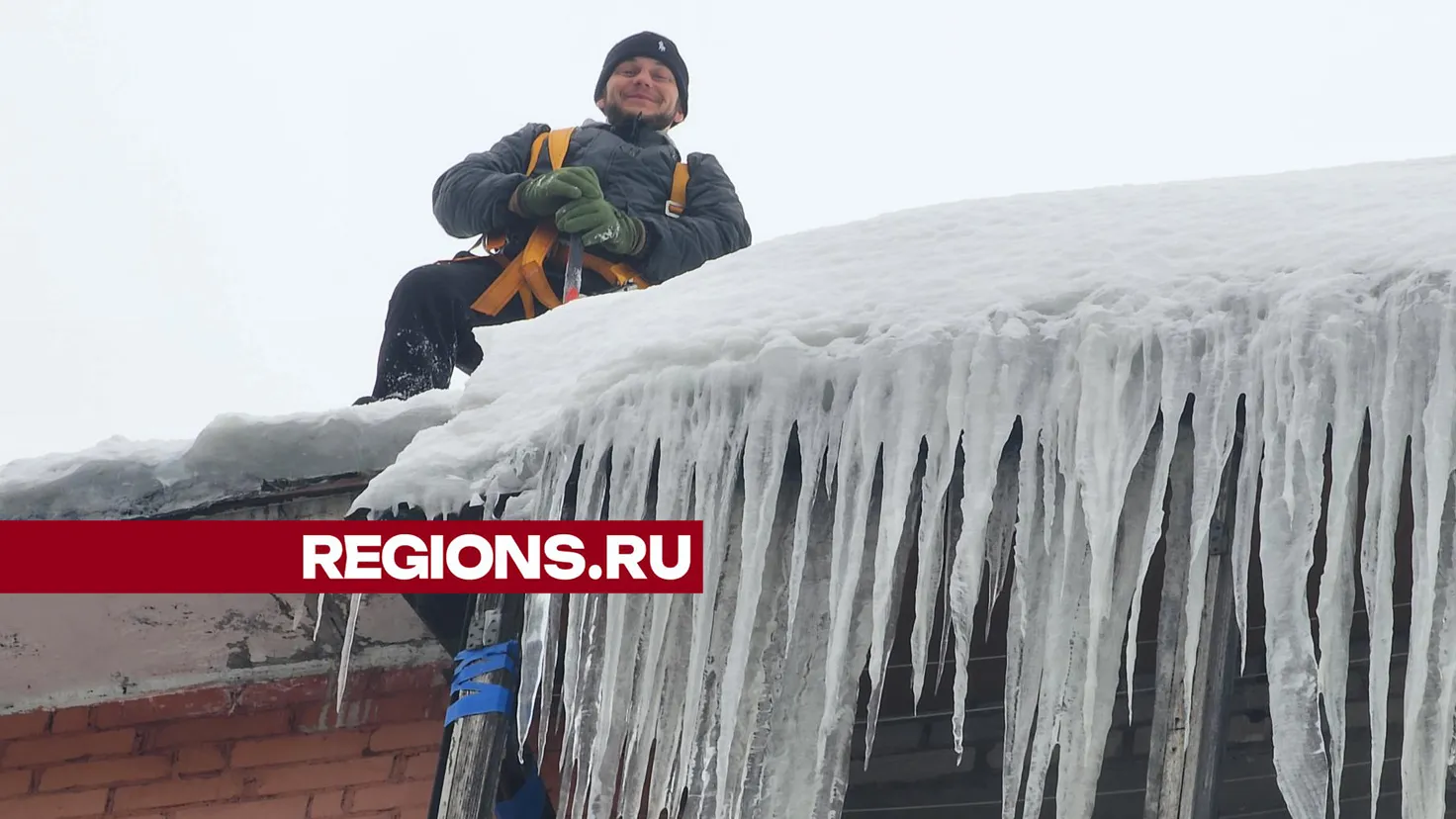 Фото: Ольга Шеметова