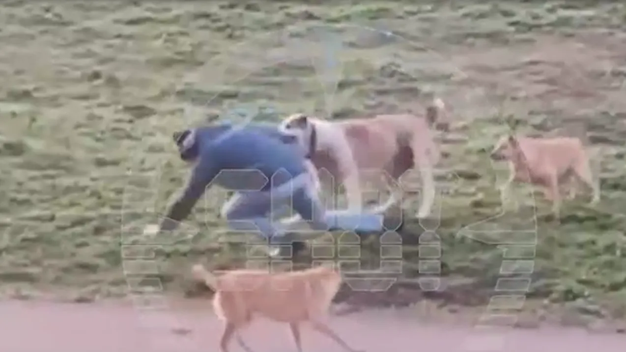 скриншот с видео