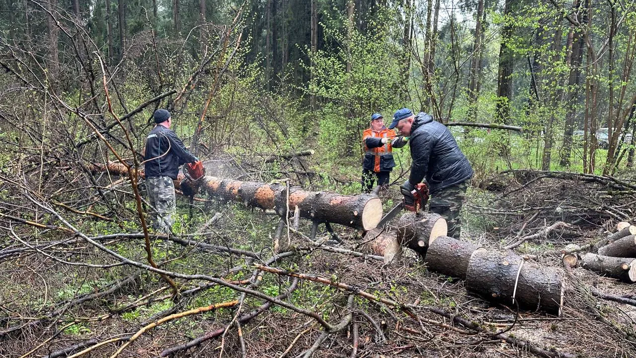 Фото: медиасток.рф