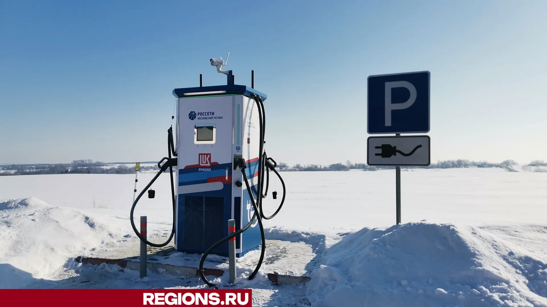 Дарья Кургузова