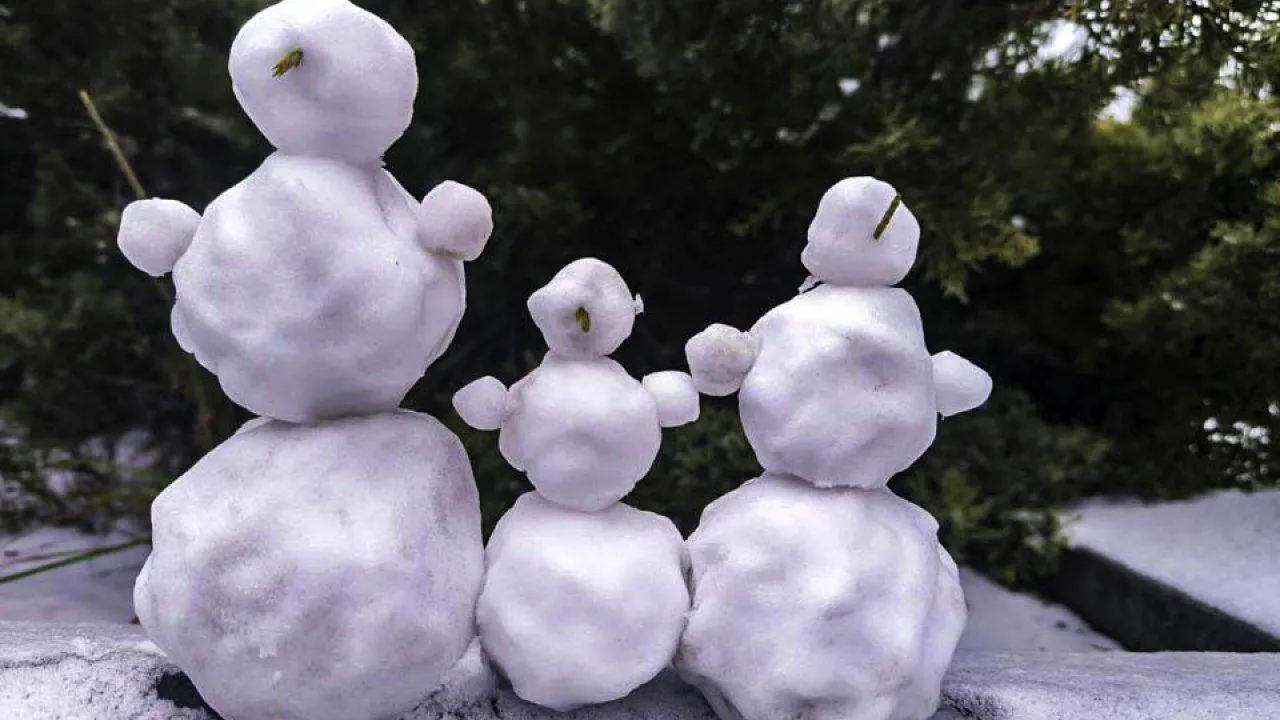 REGIONS/Роман Малышенко