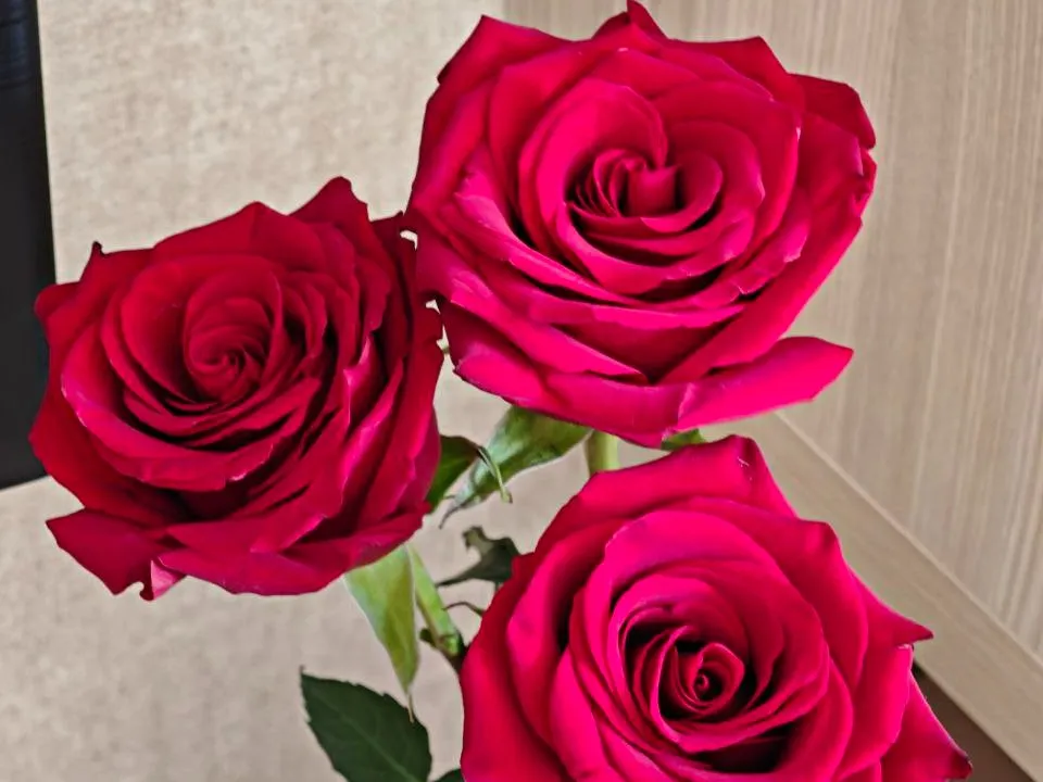 Фото: REGIONS/Максим Зубарев