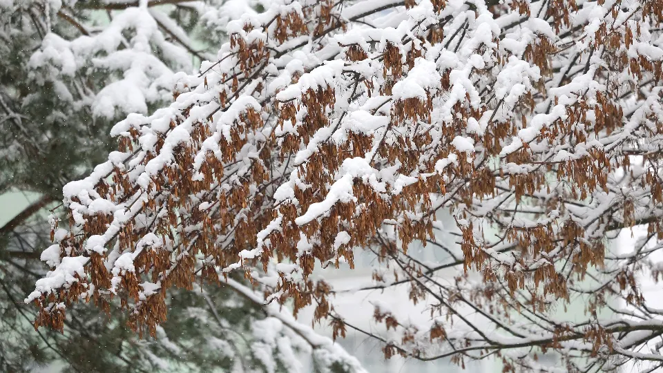 Фото: Ольга Пятикрестовская