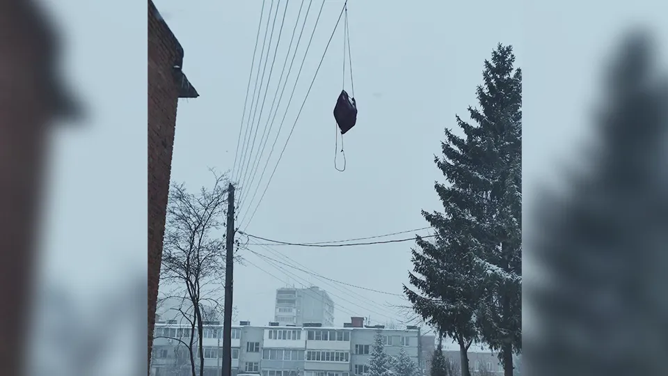 Фото: телеграм-канал поселка Малино