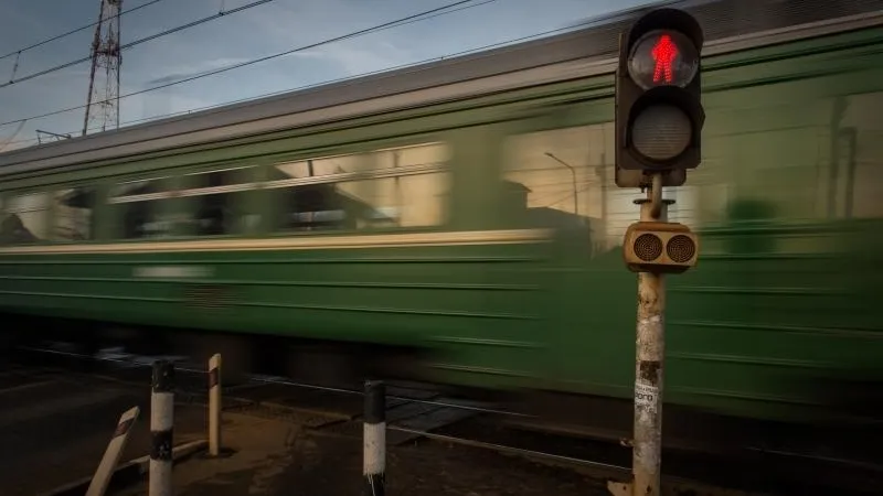  Павел Попов / Подмосковье сегодня